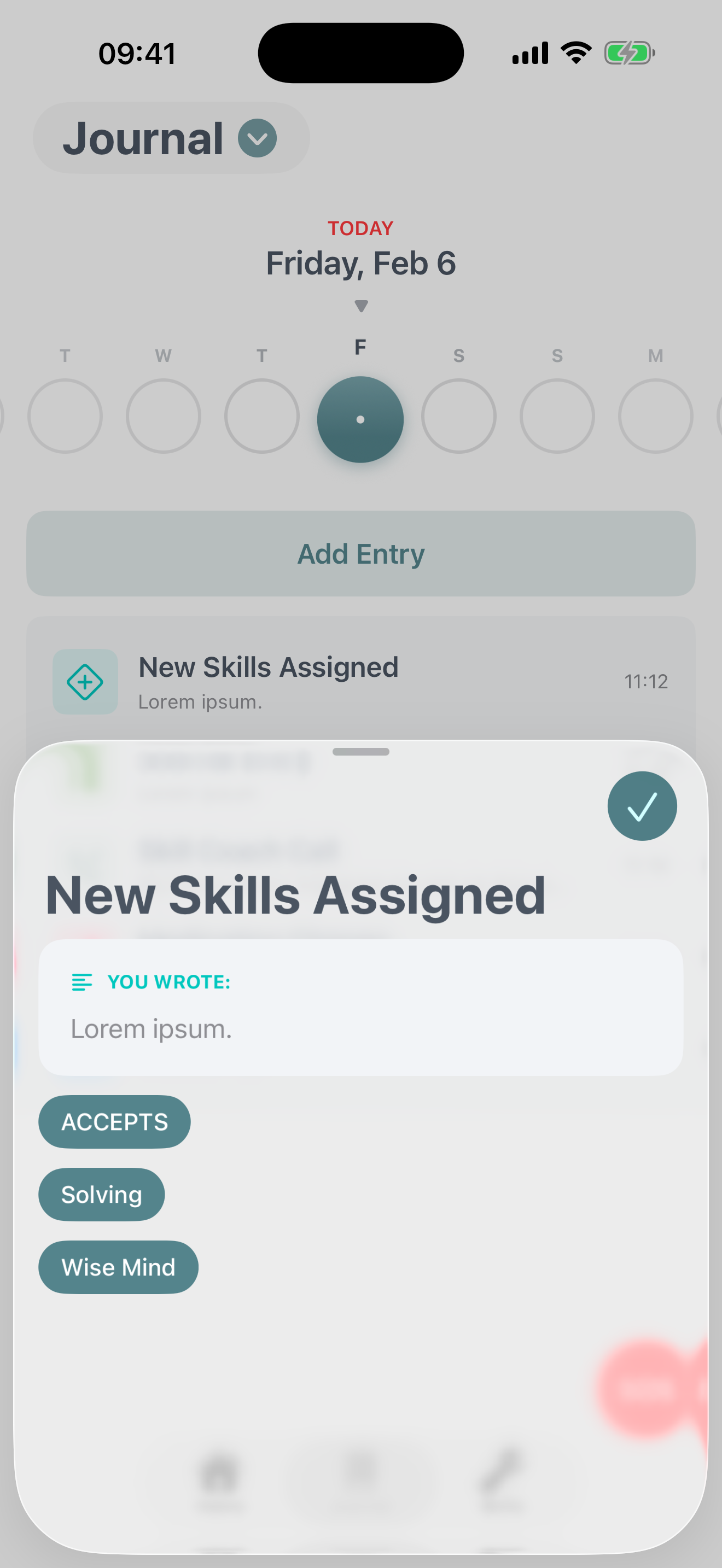 Journal entry detail view