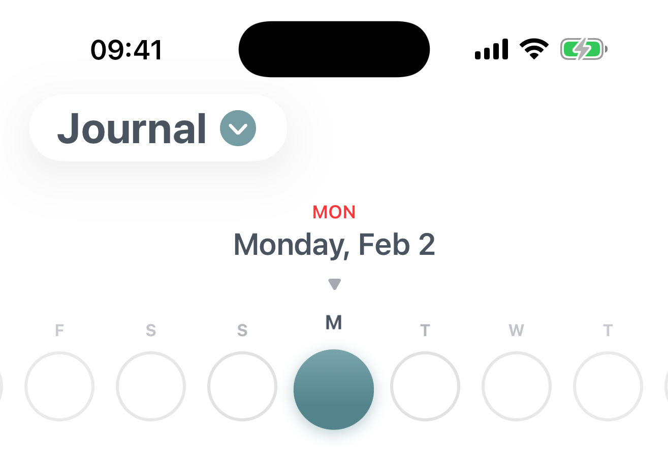 Calendar navigation strip